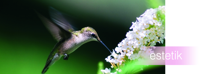 estetik